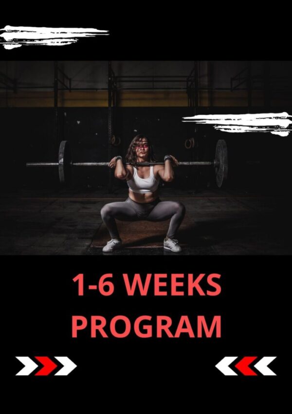 1-6 WEEKS PROGRAM